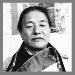 HH Dudjom Rinpoche #2