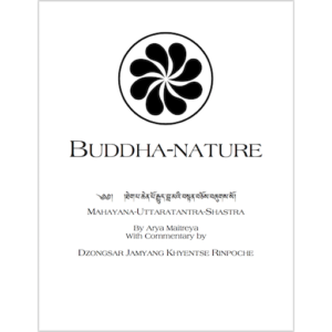 Buddhanature - DJKR 512px