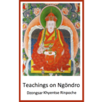 DJKR (2015) Teachings on Ngöndro, Bartsham, Bhutan