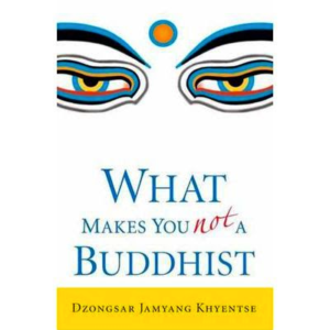 DJKR What Makes You Not a Buddhist 400px