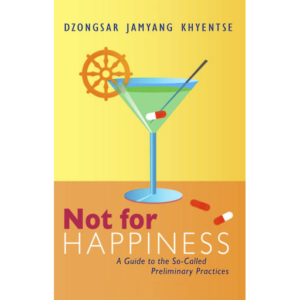 DJKR (2012) Not For Happiness 512px